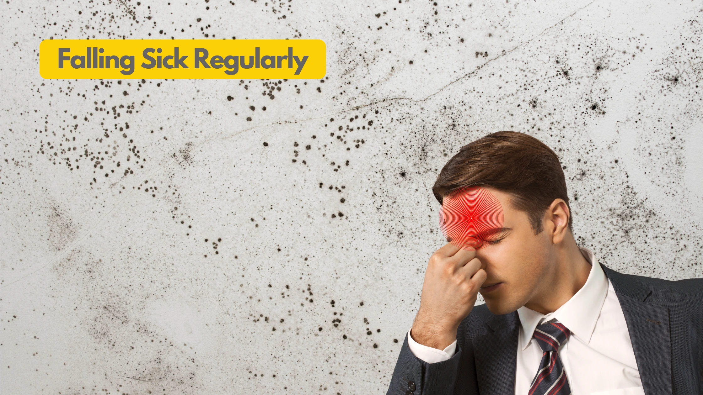 Falling sick due to Molds & Waterproofing related issues